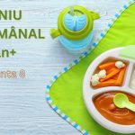 MENIU SĂPTĂMÂNAL 1 AN+ (VARIANTA 8)