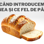 CÂND INTRODUCEM PÂINEA ȘI CE FEL DE PÂINE